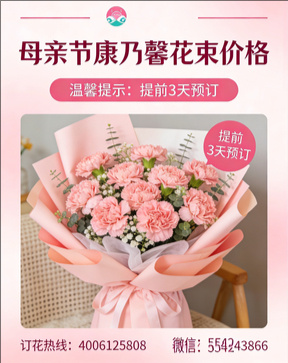 延安甘泉县花店母亲节康乃馨花束