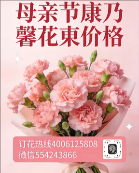 延安甘泉县花店母亲节康乃馨花束